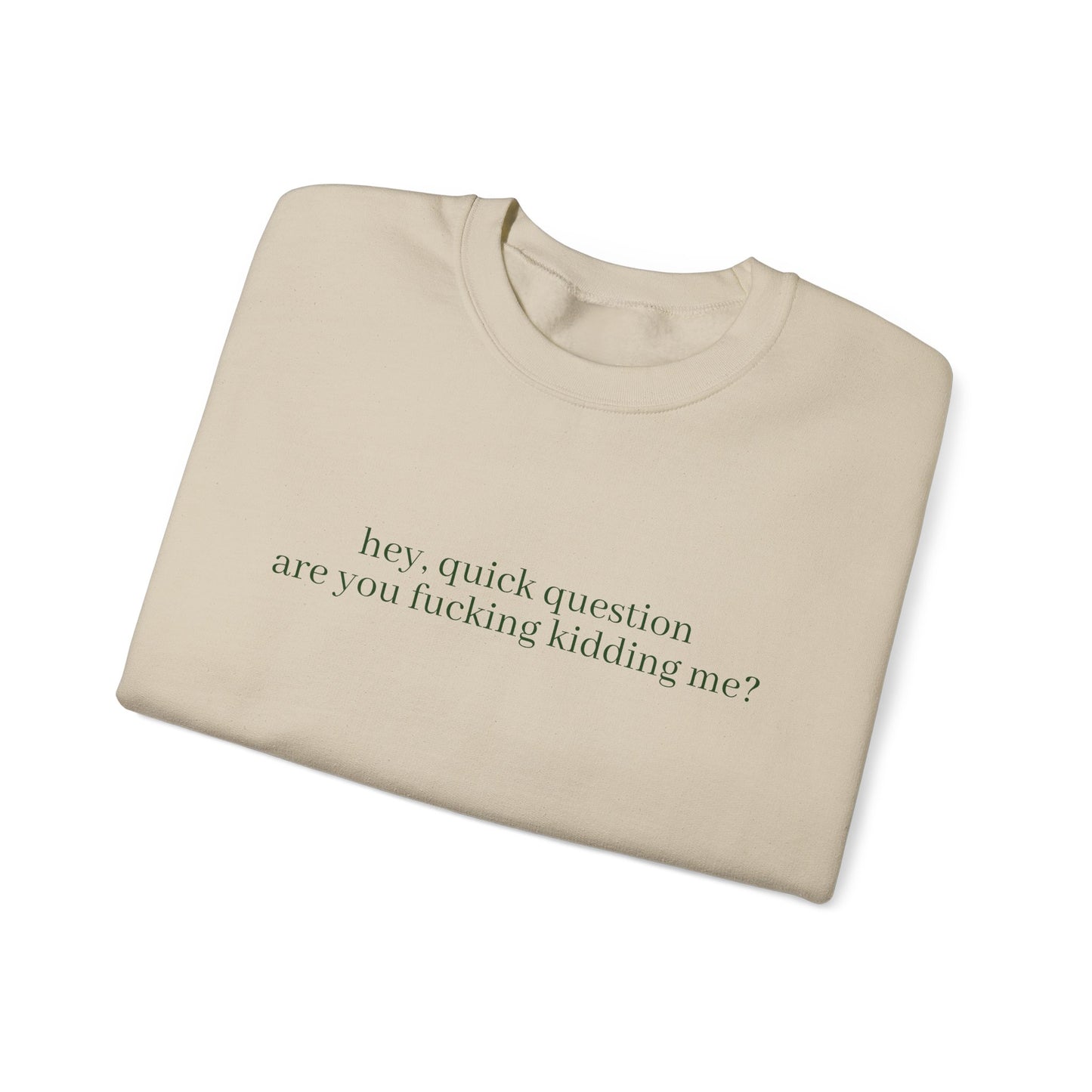 Are You Fucking Kidding Me? Sweatshirt