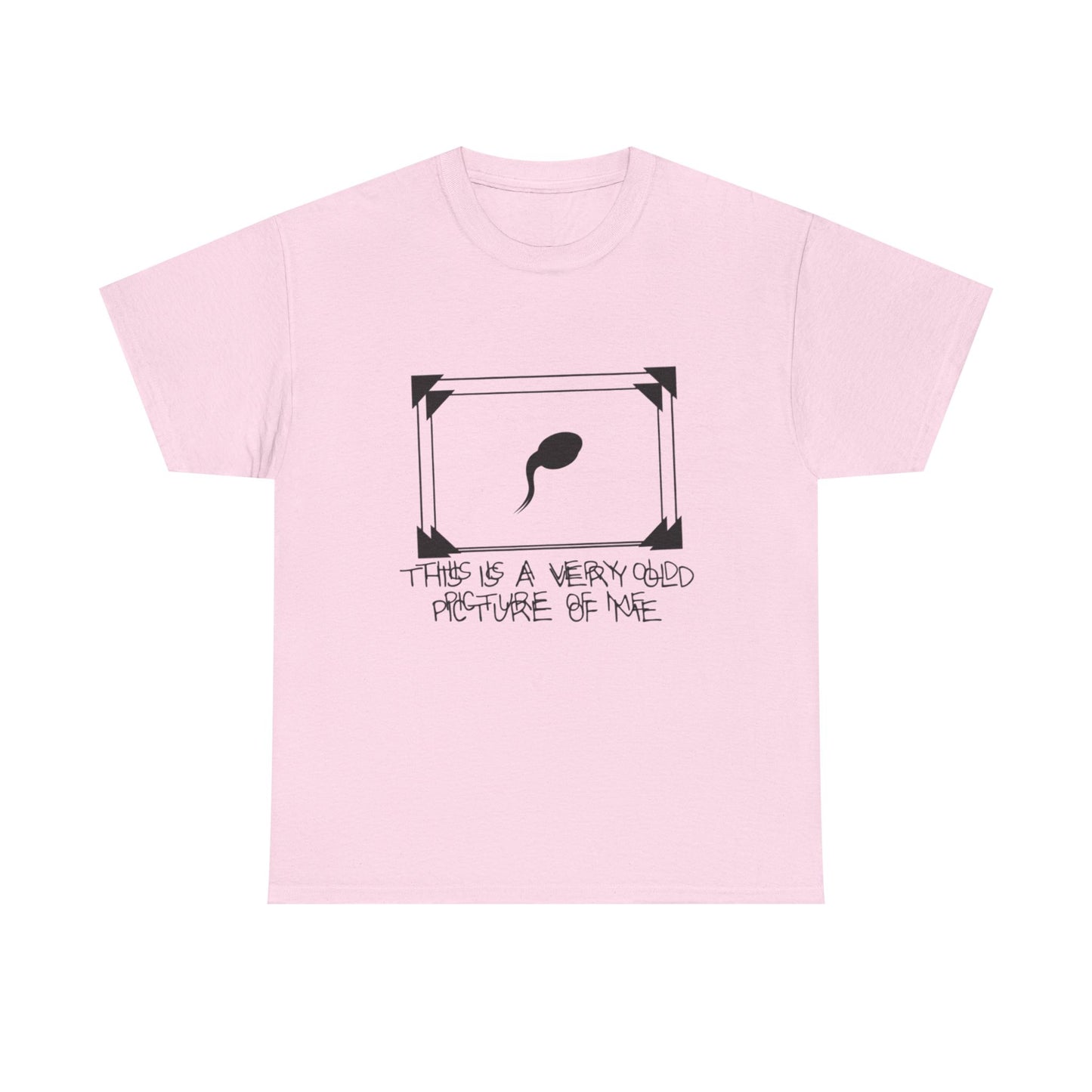 This Is a Very Old Picture of Me T-Shirt