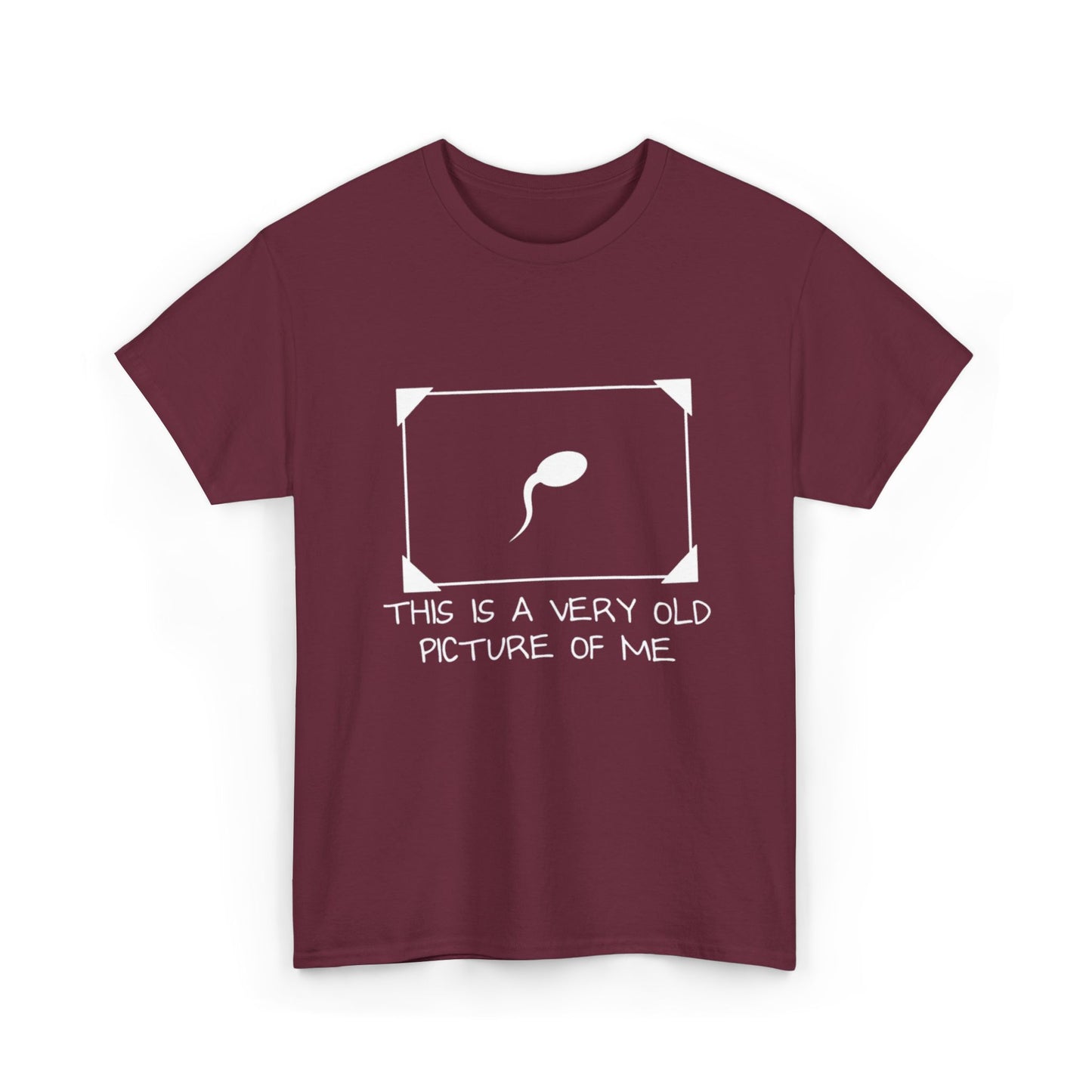 This Is a Very Old Picture of Me T-Shirt