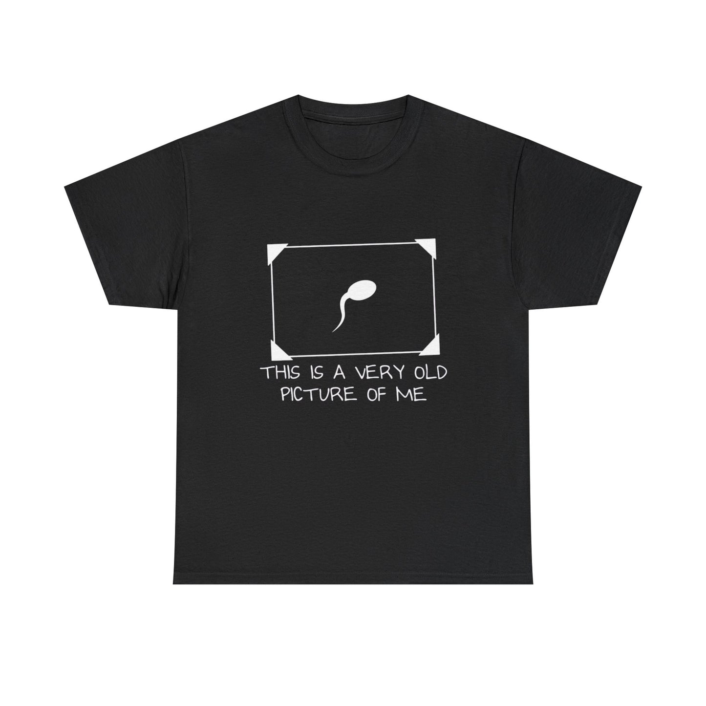 This Is a Very Old Picture of Me T-Shirt