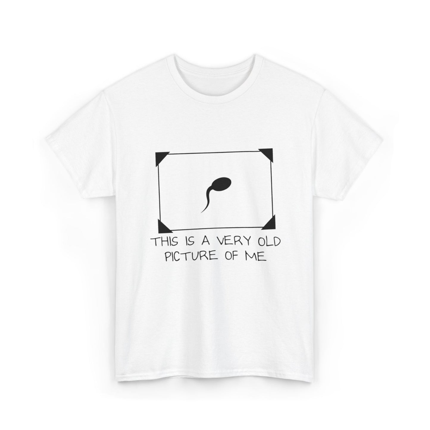 This Is a Very Old Picture of Me T-Shirt