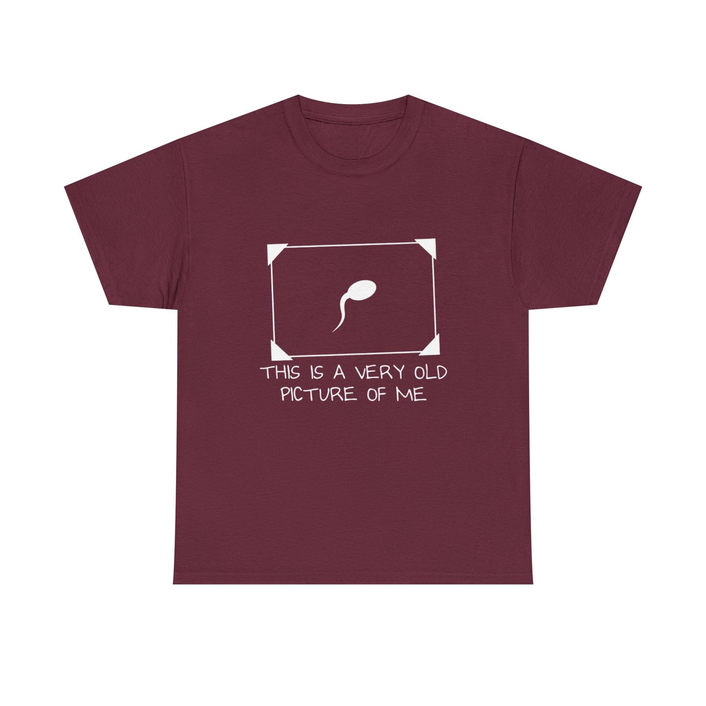 This Is a Very Old Picture of Me T-Shirt
