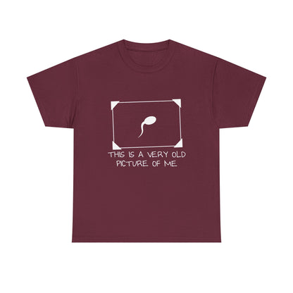 This Is a Very Old Picture of Me T-Shirt