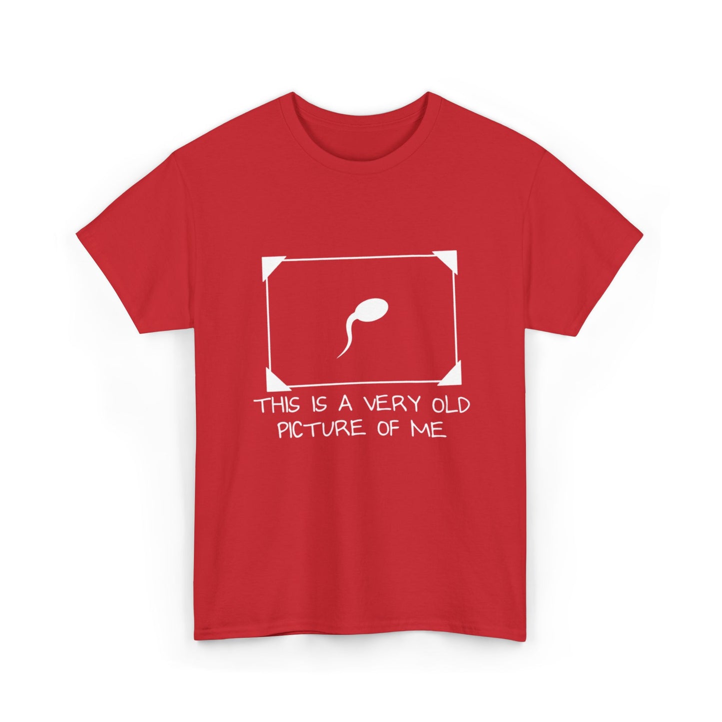 This Is a Very Old Picture of Me T-Shirt